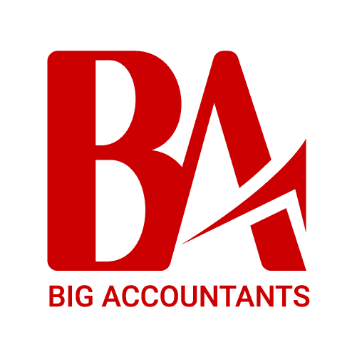 bigaccountants.com